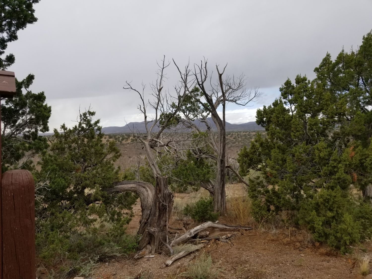 Bandalier National Monument 